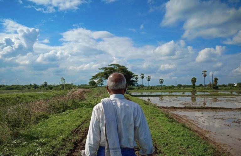 Agriculture nature en Inde