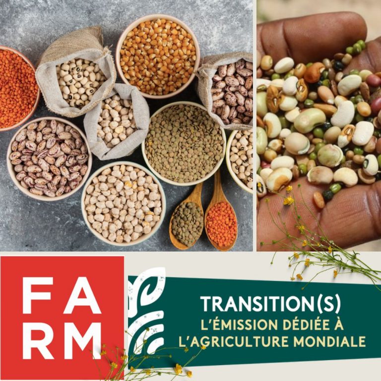 Les légumineuses, graines de star, rdv le 18 octobre à 15h